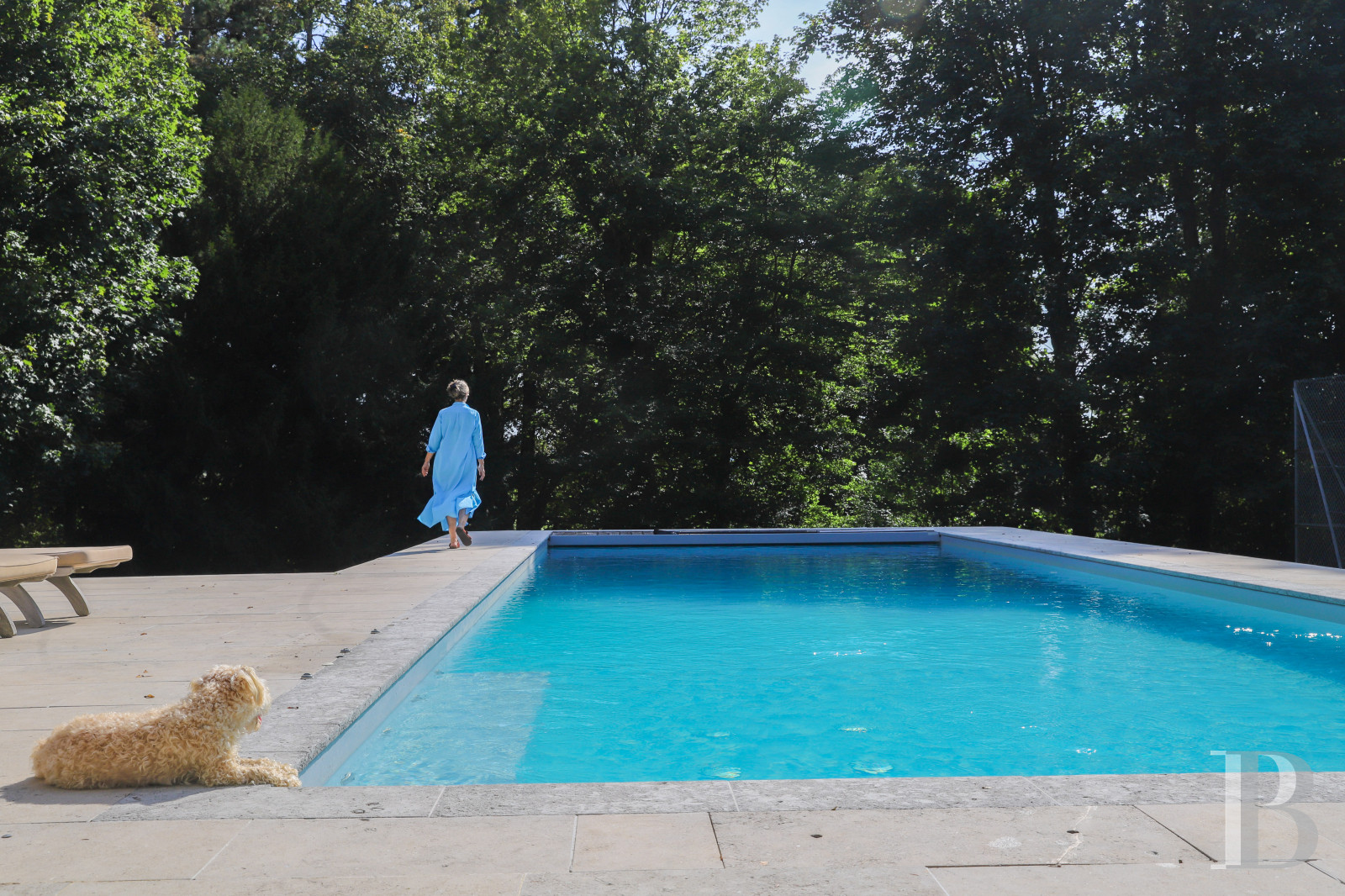 Dans le Perche, au nord-est de Bellême, une maison des 18e et 19e siècle au milieu de grands arbres  - photo  n°41